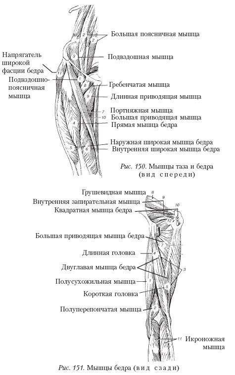 Массаж _151.jpg