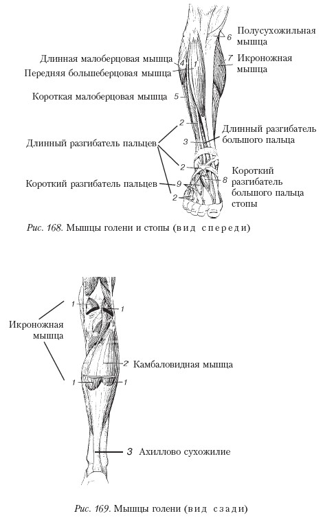 Массаж _169.jpg