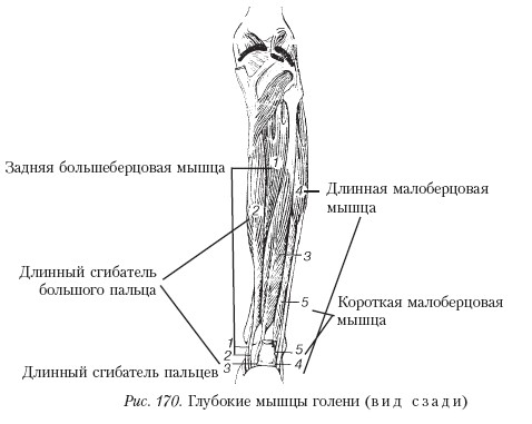 Массаж _170.jpg