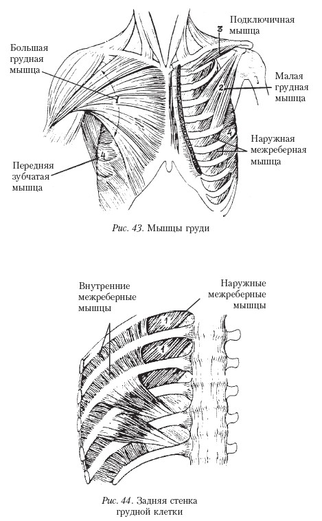 Массаж _43.jpg