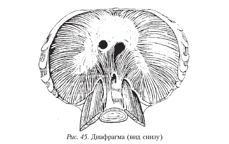 Массаж _45.jpg