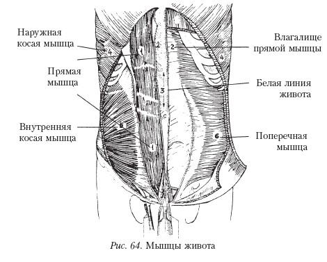 Массаж _64.jpg