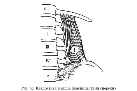 Массаж _65.jpg