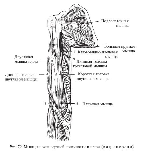 Массаж _79.jpg