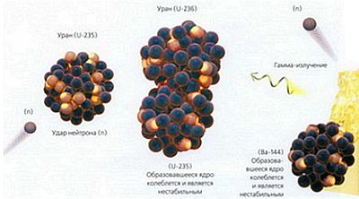 Мир в ореховой скорлупе _14.jpg