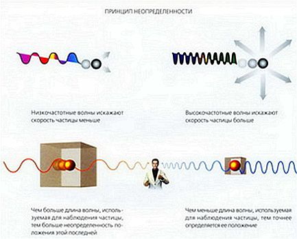 Мир в ореховой скорлупе _34.jpg