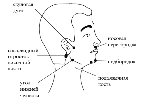 Экстренная помощь при травмах, болевых шоках и воспалениях. Опыт работы в чрезвычайных ситуациях _094.png