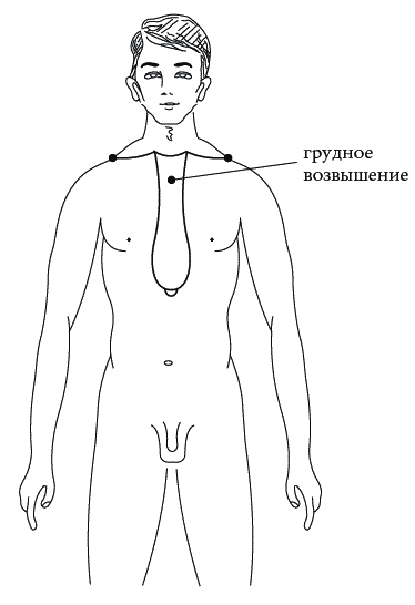 Экстренная помощь при травмах, болевых шоках и воспалениях. Опыт работы в чрезвычайных ситуациях _096.png