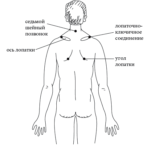 Экстренная помощь при травмах, болевых шоках и воспалениях. Опыт работы в чрезвычайных ситуациях _097.png