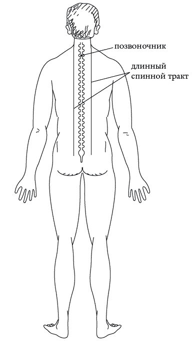 Экстренная помощь при травмах, болевых шоках и воспалениях. Опыт работы в чрезвычайных ситуациях _099.png