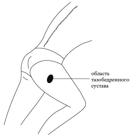 Экстренная помощь при травмах, болевых шоках и воспалениях. Опыт работы в чрезвычайных ситуациях _102.png