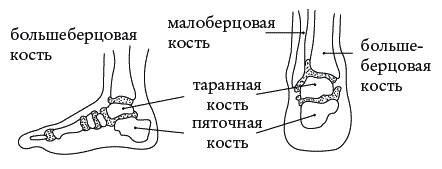 Экстренная помощь при травмах, болевых шоках и воспалениях. Опыт работы в чрезвычайных ситуациях _103.png