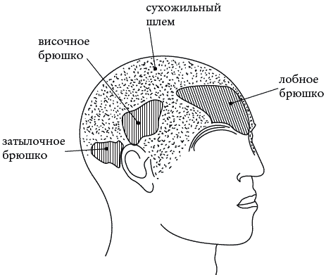 Экстренная помощь при травмах, болевых шоках и воспалениях. Опыт работы в чрезвычайных ситуациях _123.png