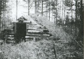 Лесные солдаты. Партизанская война на Северо-Западе СССР. 1941-1944 i_018.jpg