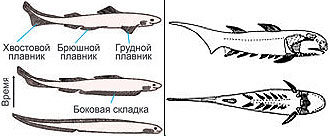 Журнал «Компьютерра» № 25-26 от 11 июля 2006 года (645 и 646 номер) _645g14u8.jpg