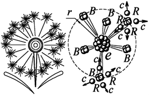 Баллистическая теория Ритца и картина мироздания i_149.png