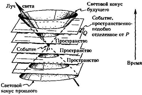 Тени разума. В поисках науки о сознании _18.png