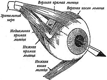 Улучшите ваше зрение _01.jpg