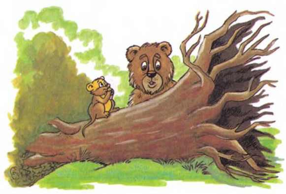 Медведь и суслики. Суслик и медведь. Медведь и дуб. Медведь и бурундук рисунок. Дедушка дуб и мишка.