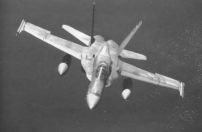 Энциклопедия современной военной авиации 1945-2002: Часть 1. Самолеты pic_534.jpg