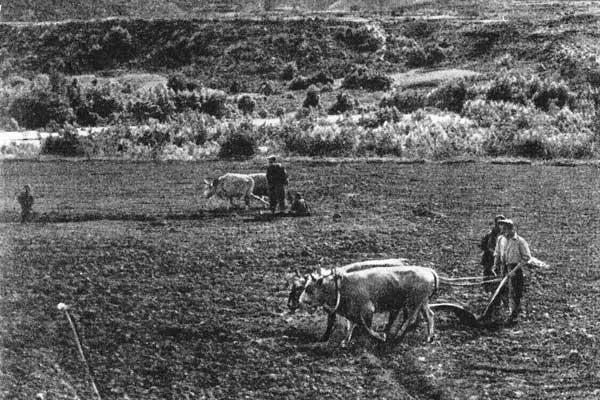 Журнал «Вокруг Света» №04 за 1960 год TAG_img_cmn_2009_02_02_005_jpg214830