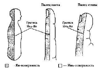 Пальцетерапия _07.jpg