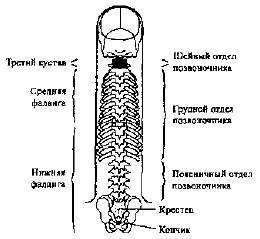 Пальцетерапия _09.jpg