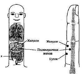 Пальцетерапия _28.jpg