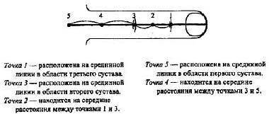 Пальцетерапия _56.jpg