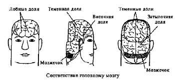 Пальцетерапия _61.jpg