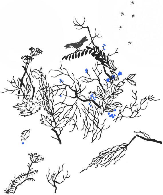 По волчьему следу i_025.png