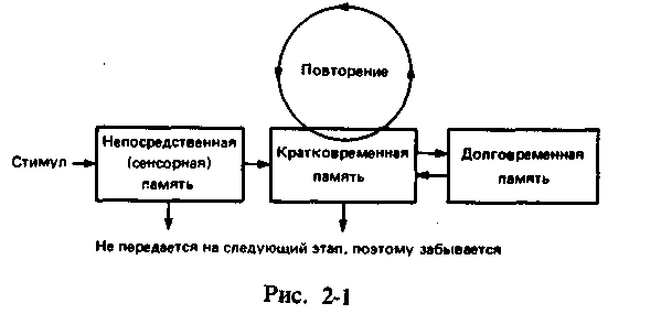 Улучшаем память - в любом возрасте  image002.png