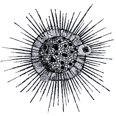 Бегство от одиночества i_044.png