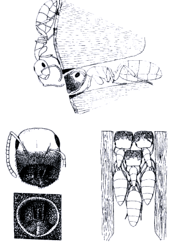 Бегство от одиночества i_110.png