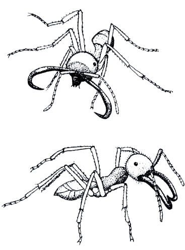 Бегство от одиночества i_112.png