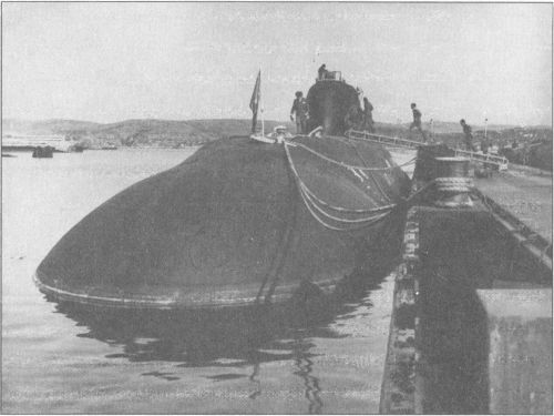 Возмутители глубин. Секретные операции советских подводных лодок в годы холодной войны i_026.jpg