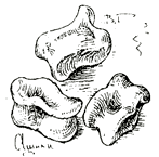 Письма внуку. Книга первая: Сокровенное i_30.png