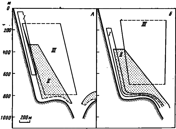 Акулы. Мифы и реальность image15.png