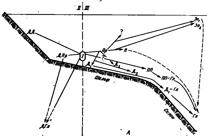 Акулы. Мифы и реальность image23.png