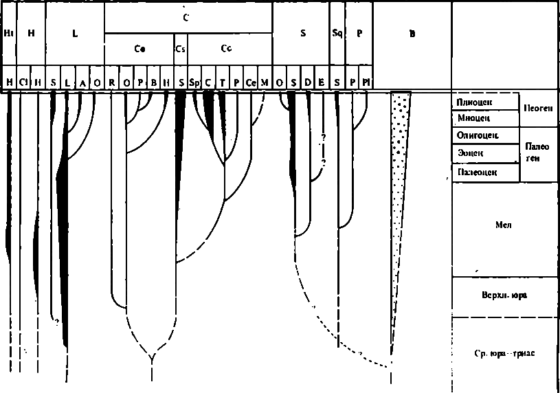 Акулы. Мифы и реальность image6.png