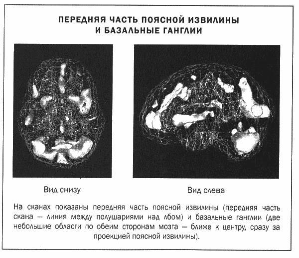 Мозг и душа _11.jpg