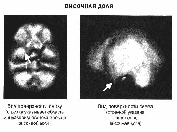 Мозг и душа _15.jpg