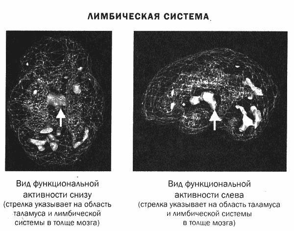 Мозг и душа _16.jpg