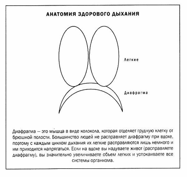 Мозг и душа _38.jpg