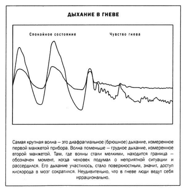 Мозг и душа _40.jpg