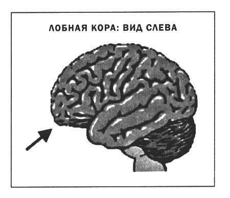 Мозг и душа _6.jpg