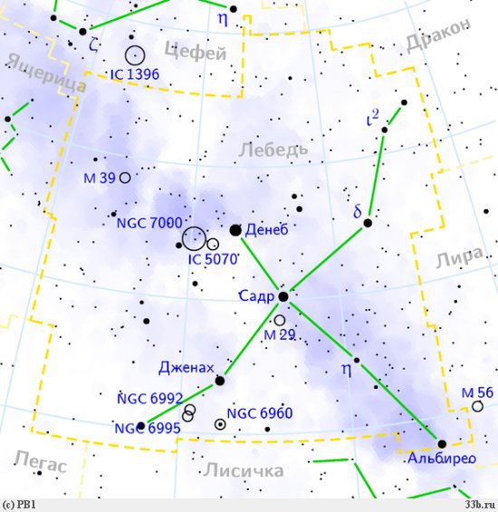 Сокровища звездного неба lebed1.jpg