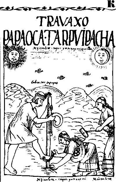 Большой кулинарный словарь i_217.png