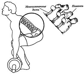 Новая энциклопедия бодибилдинга. Кн.3. Упражнения _17.jpg