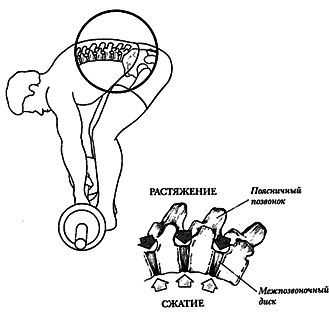 Новая энциклопедия бодибилдинга. Кн.3. Упражнения _19.jpg